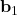 \mathbf{b}_1