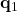 \mathbf{q}_1