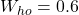 W_{ho} = 0.6