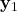 \mathbf{y}_1