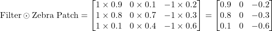 \text{Filter} \odot \text{Zebra Patch} = \begin{bmatrix} 1 \times 0.9 & 0 \times 0.1 & -1 \times 0.2 \\ 1 \times 0.8 & 0 \times 0.7 & -1 \times 0.3 \\ 1 \times 0.1 & 0 \times 0.4 & -1 \times 0.6 \end{bmatrix} = \begin{bmatrix} 0.9 & 0 & -0.2 \\ 0.8 & 0 & -0.3 \\ 0.1 & 0 & -0.6 \end{bmatrix}