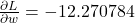 \frac{\partial L}{\partial w} = -12.270784