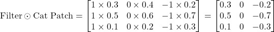 \text{Filter} \odot \text{Cat Patch} = \begin{bmatrix} 1 \times 0.3 & 0 \times 0.4 & -1 \times 0.2 \\ 1 \times 0.5 & 0 \times 0.6 & -1 \times 0.7 \\ 1 \times 0.1 & 0 \times 0.2 & -1 \times 0.3 \end{bmatrix} = \begin{bmatrix} 0.3 & 0 & -0.2 \\ 0.5 & 0 & -0.7 \\ 0.1 & 0 & -0.3 \end{bmatrix}