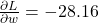 \frac{\partial L}{\partial w} = -28.16