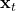 \( \mathbf{x}_t \)