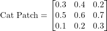 \text{Cat Patch} = \begin{bmatrix} 0.3 & 0.4 & 0.2 \\ 0.5 & 0.6 & 0.7 \\ 0.1 & 0.2 & 0.3 \end{bmatrix}