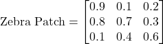 \text{Zebra Patch} = \begin{bmatrix} 0.9 & 0.1 & 0.2 \\ 0.8 & 0.7 & 0.3 \\ 0.1 & 0.4 & 0.6 \end{bmatrix}