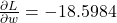 \frac{\partial L}{\partial w} = -18.5984